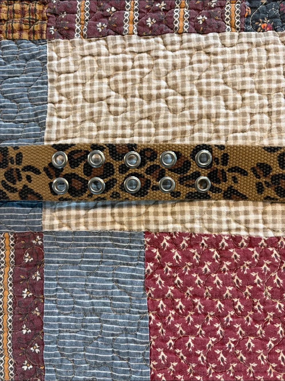 Leopard Print Canvas Women's Belt - Brown